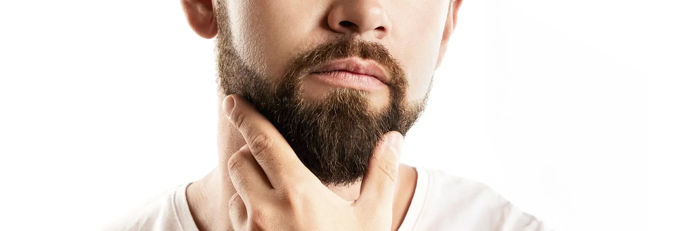 Top Rated Beard Care Products For Men Woovly 